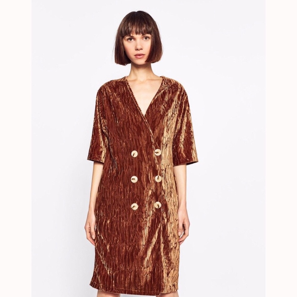 NWT 🤎 ZARA Fall Velvet Textured Dress